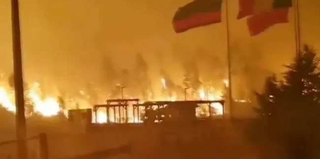 Şili’de orman yangını: 22 ölü - Türkiye’den taziye mesajı