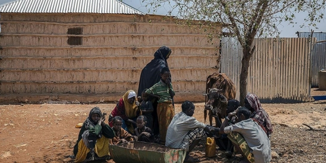 "Kuraklık Somali'de 4,3 milyon kişiyi etkiledi"