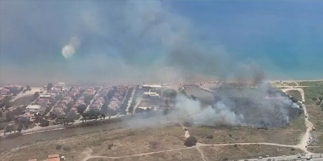 İzmir'de sazlık yangını