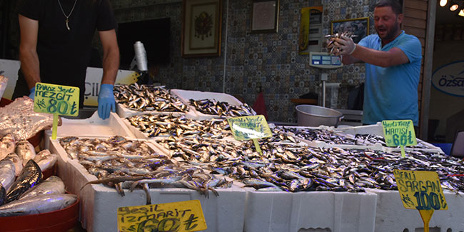 Trabzon'daki balıkçı tezgahlarında hamsi bolluğu