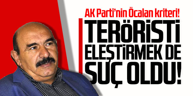 AK Parti'nin Öcalan kriteri: Teröristi eleştirmek de suç oldu!