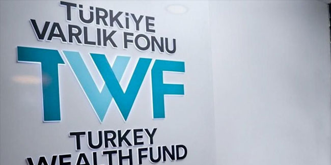 'Varlık Fonu, Türk Telekom'u almak için kredi buldu'