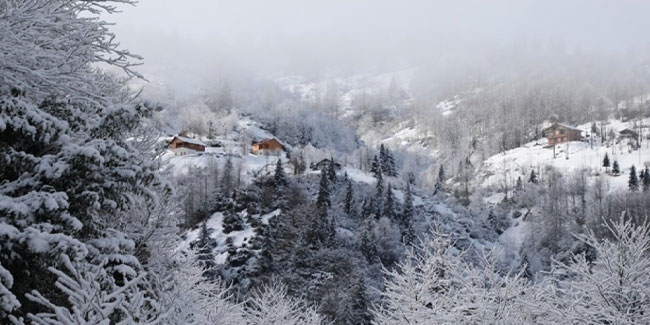 Artvin'de kar engeli! 40 köye ulaşım sağlanamıyor