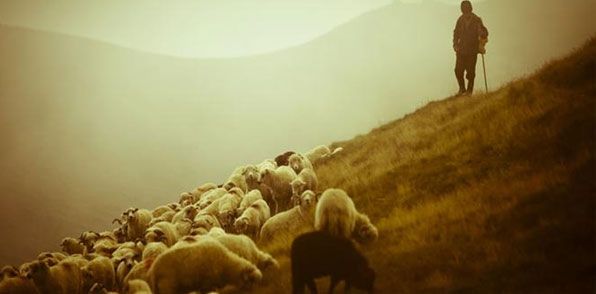 'Çoban Okulu' geliyor