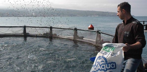 Deniz balıkçılığında rekor düşüş
