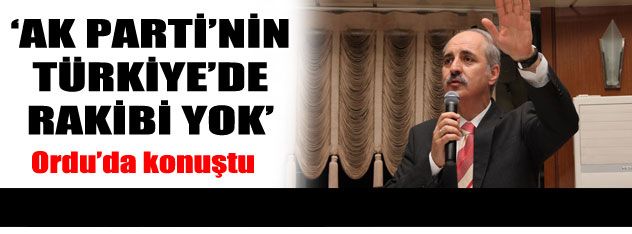 "AK Parti'nin Türkiye'de siyasi rakibi yok"