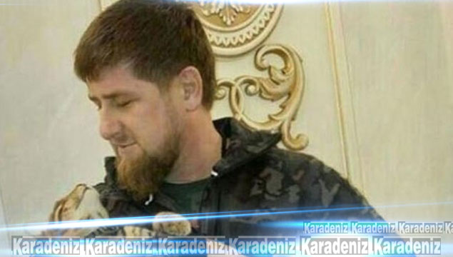 Kadirov'un kayıp kedisi tiye alındı!