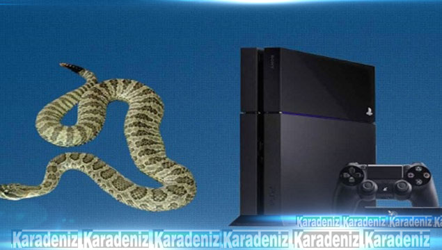 Playstation 4'ün içinden yılan çıktı