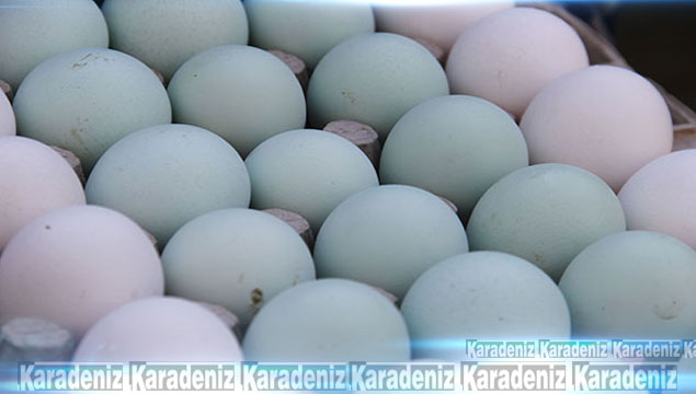 Bu yumurtaların tanesi 30 lira