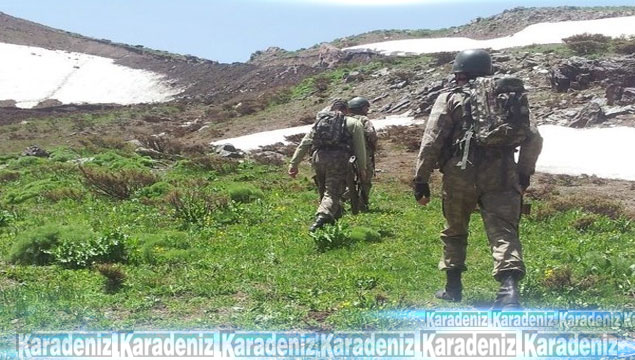 Operasyonda 4 PKK'lı etkisiz hale getirildi