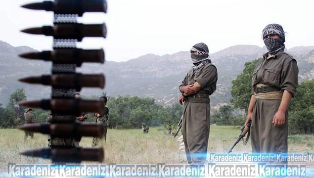 PKK'ya 325 günde büyük kayıp!