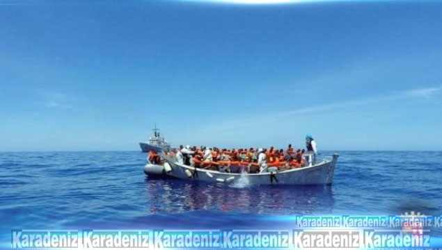 Akdeniz'de yaşam mücadelesi!