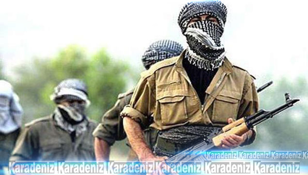 3 PKK’lı ölü ele geçirildi