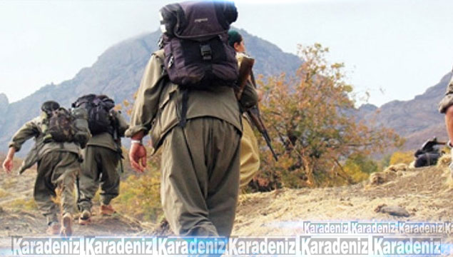 6 PKK'lı güvenlik güçlerine teslim oldu!