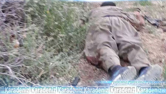 PKK'nın sözde sorumlusu öldürüldü!