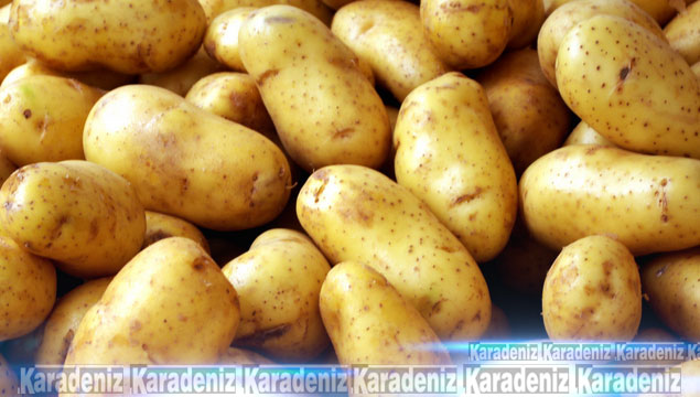 Patates tarlada 25 kuruş, pazarda 1,5 lira