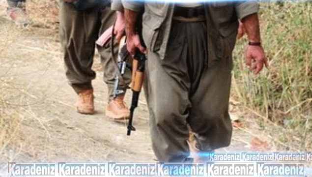 Eylem hazırlığındaki 3 PKK'lı yakalandı