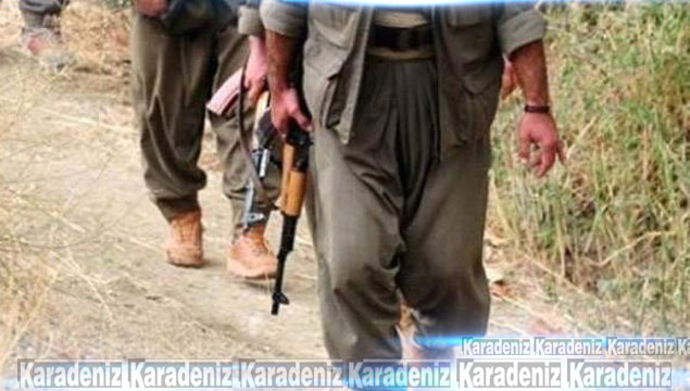 Nusaybin’de PKK’ya rütbeli yataklık