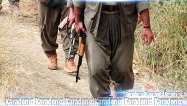 PKK'lı teröristler Nusaybin'de yol kesti