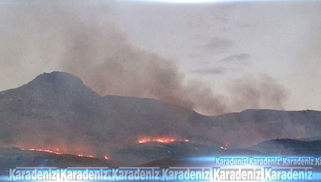 Bitlis'te 250 hektar arazi kül oldu!