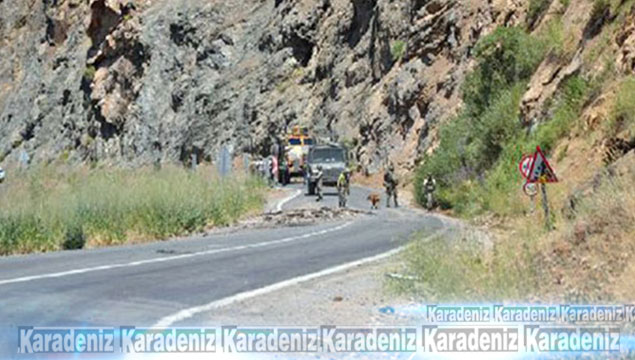 PKK'nın Uludere sorumlusu öldürüldü