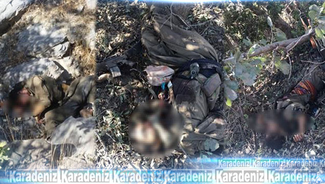Cudi Dağı’nda 3 terörist öldürüldü