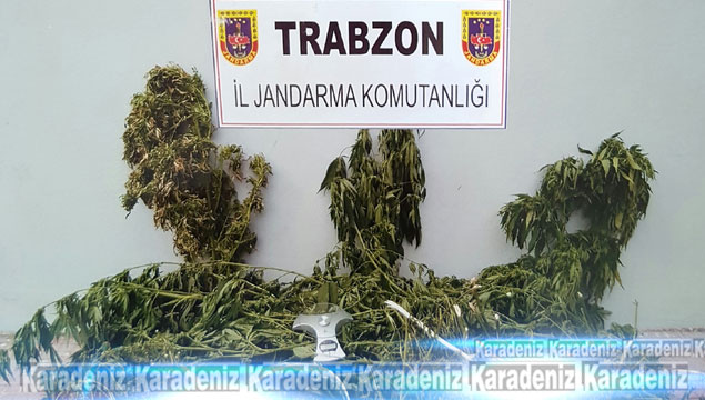 Trabzon'da uyuşturucu operasyonu 