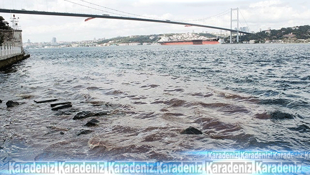 İstanbul Boğazı kan gölü oldu!