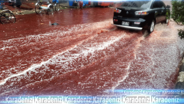 Dakka sokaklarından kan aktı