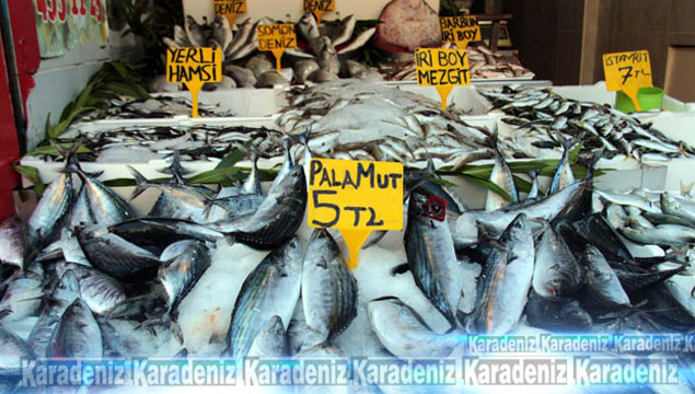 Kurban balık satışlarını etkiledi