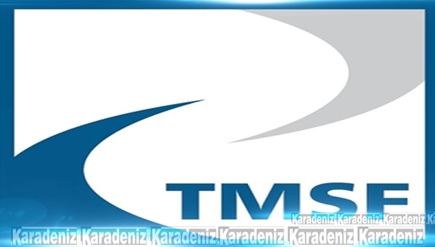 17 şirket TMSF’ye devredildi