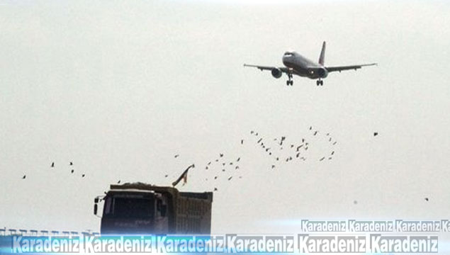 Atatürk Havalimanı'ndan karga alarmı