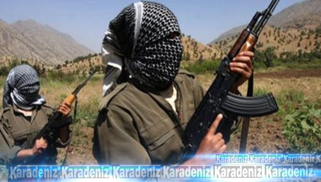 PKK'nın Karadeniz bölge grubu yakalandı