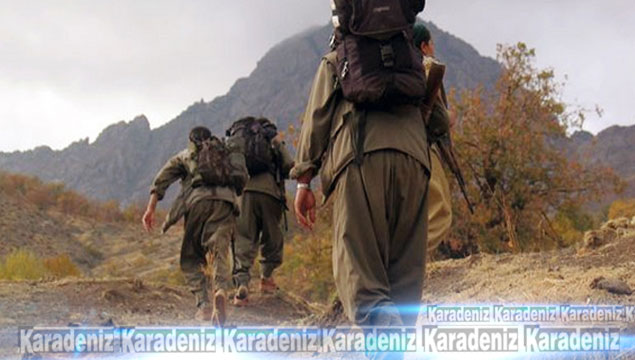 Muş'ta 3 PKK'lı tutuklandı