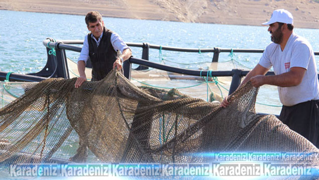 Denizi olmayan şehirden kıtalar arası balık ihraca