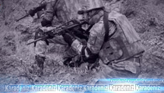 Şenyayla'da 6 tabur askerle PKK operasyonu!