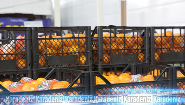 Türk portakalı yeniden Rusya'da