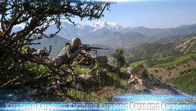PKK çözülme sürecine girdi