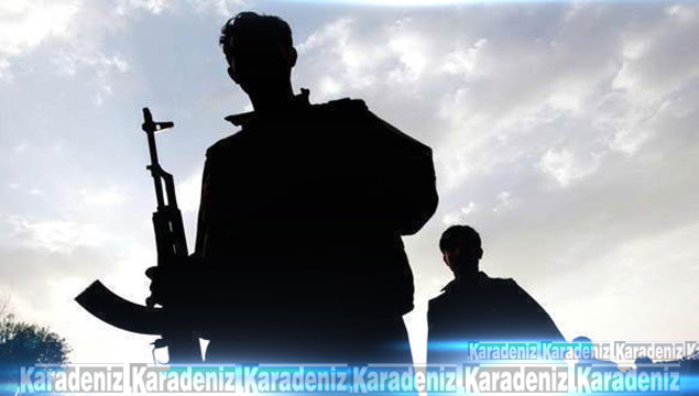Çukurca'da 2 PKK'lı terörist teslim oldu