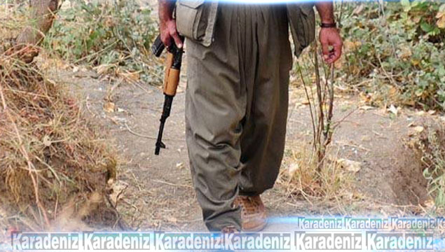 Polisi şehit eden PKK'lı yakalandı