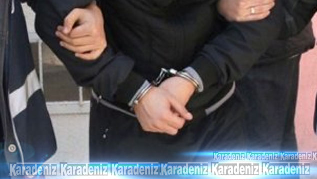 Siirt'te FETÖ operasyonu: 41 gözaltı