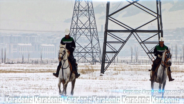 Kırsalda kaçak elektriğe karşı atlı ekip 