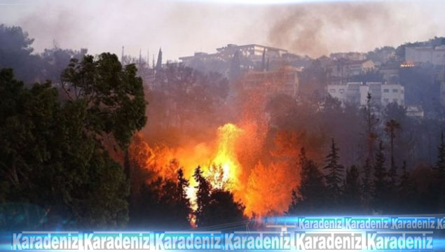 İsrail'de çıkan yangınlar 4 gündür söndürülemiyor