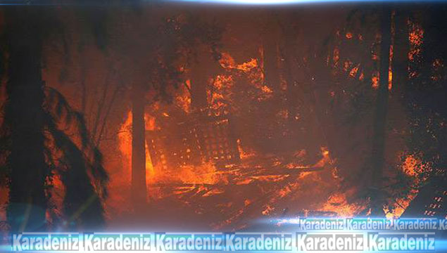 İsrail'de yangınlar devam ediyor: 125 yaralı