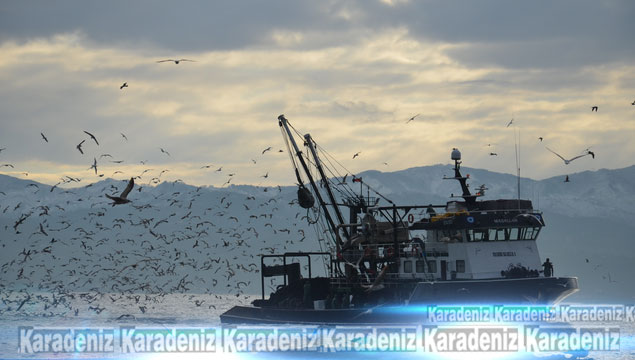  Ordulu balıkçılar Batı Karadeniz'de avlanıyor