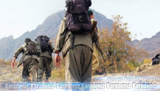 PKK operasyonu: 21 gözaltı!