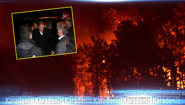 Vali Yavuz’dan yangın açıklaması