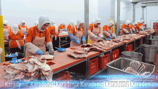 200 kadın kasap binlerce ton et işliyor