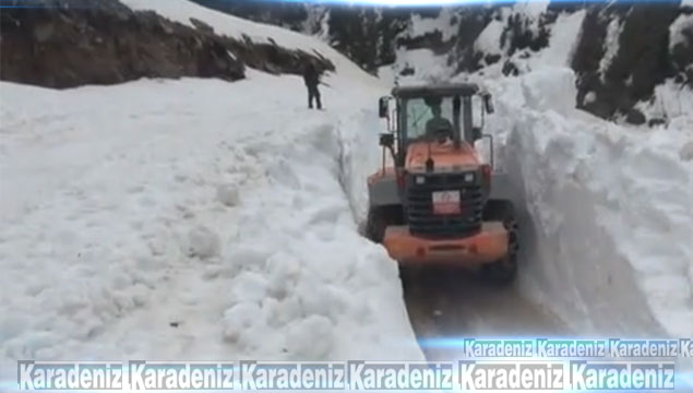 Ayder'de karla kaplı yollar açılıyor