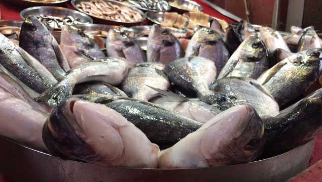 Balık fiyatları neden yükseldi?